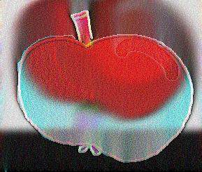 Tomato-Accident