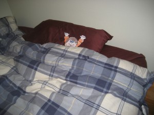 stanley_sleeping image
